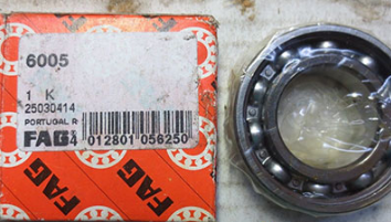 FAG 6005 bearings